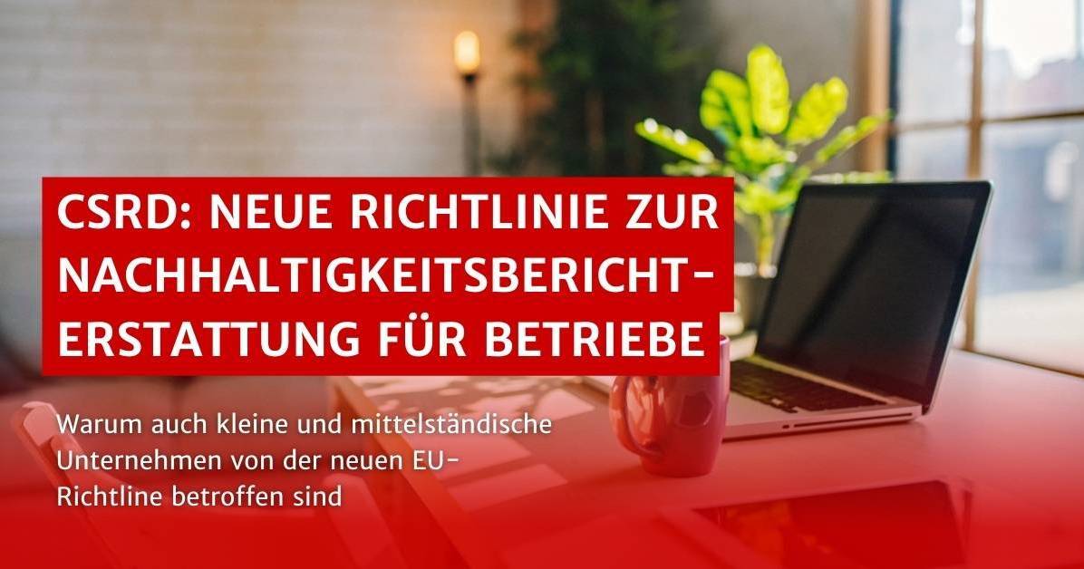 Nachhaltigkeitsberichterstattung Für Unternehmen | Lexware