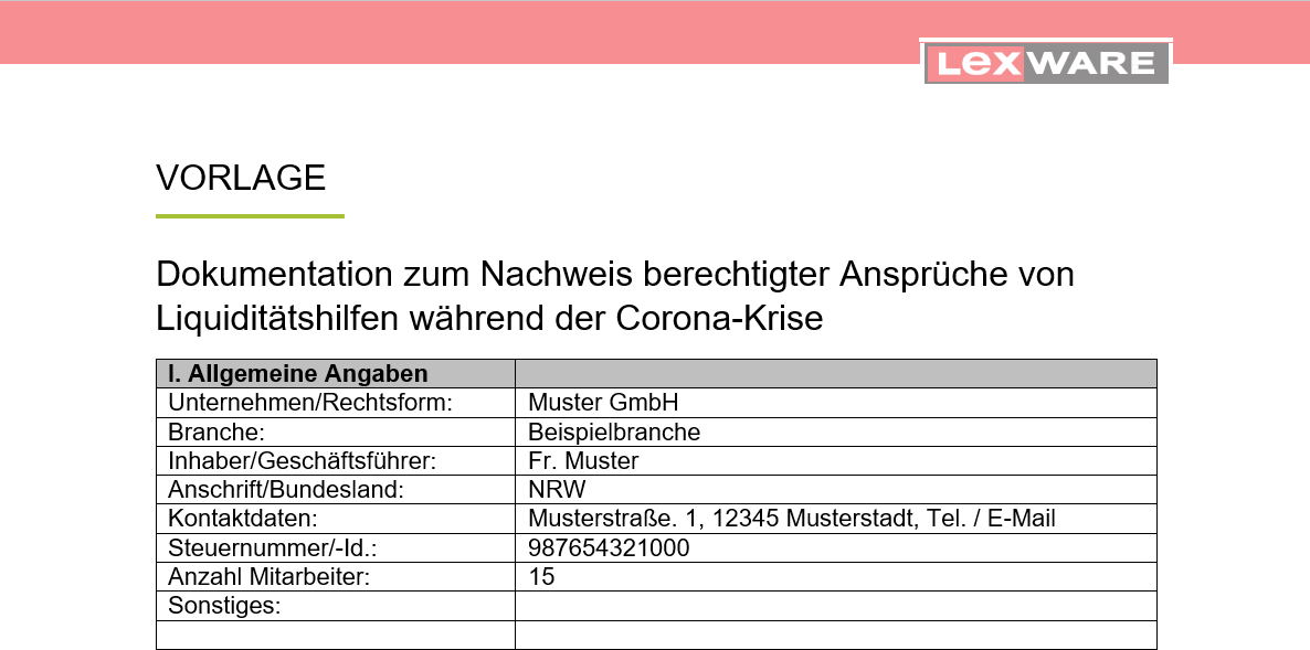 Corona Hilfen So Vermeiden Sie Ruckzahlungsforderungen